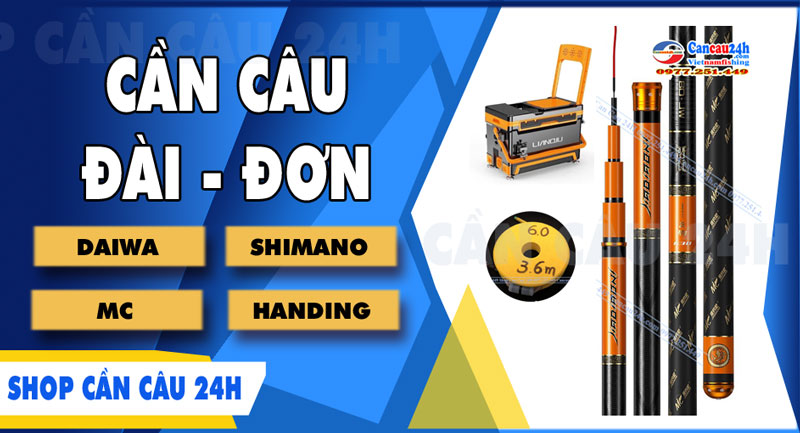 Cần câu đơn | đài